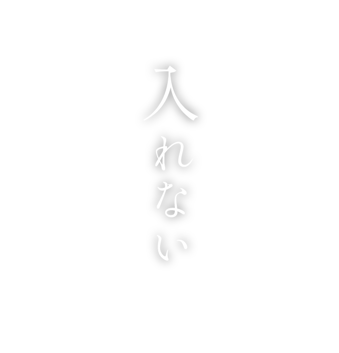 入れない
